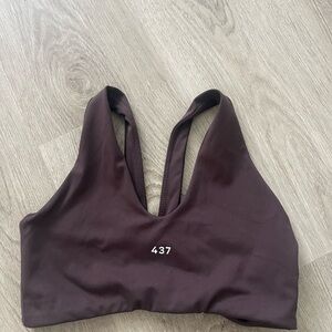 437 Women's Dark Brown Sports Bra